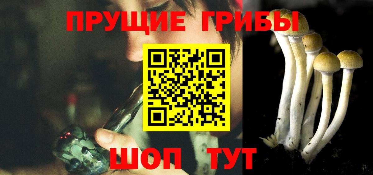 Псилоцибиновые грибы Magic Shrooms  Вход с VPN  Галлюциногенные грибы мухоморы  Уссурийск 