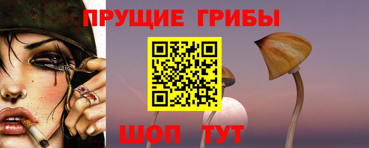 Псилоцибиновые грибы мицелий Уссурийск